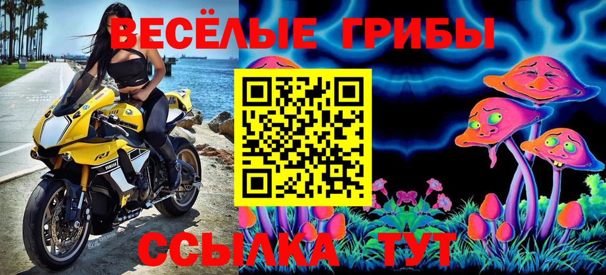 Десногорск  Галлюциногенные грибы Psilocybine cubensis  Вход с VPN  Галлюциногенные грибы Cubensis 