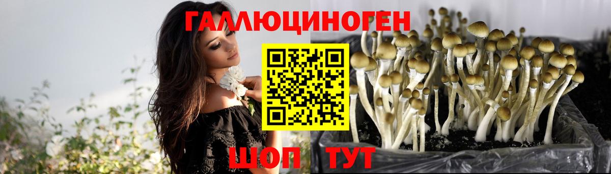 Псилоцибиновые грибы GOLDEN TEACHER Десногорск
